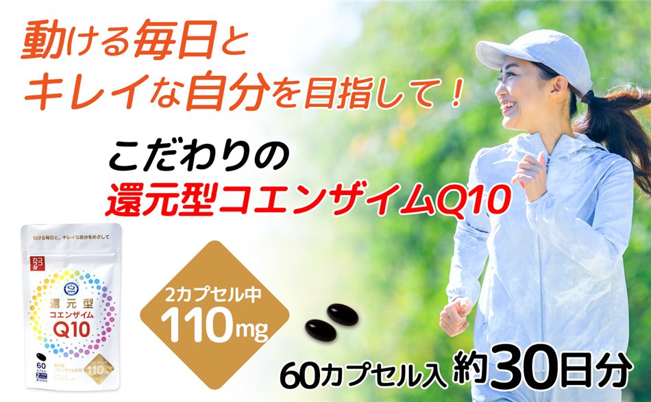쥤ʼʬܻؤԸ󥶥Q10110mg