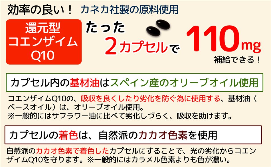ä2γ110mgδԸ󥶥Q10۹硡ͥҤθѤƤޤ
