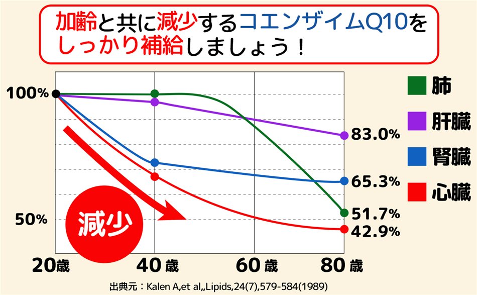 Υ󥶥Q10ϡȶ˸Ƥޤޤ뤬ɬפʤΤǤ