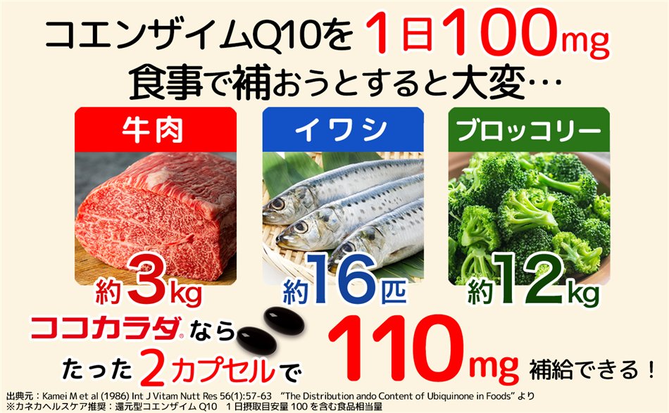 󥶥Q10ϡ䤦ΤѤǤ󥶥Q10100mgݼ褹Τˡʤ3kg亮ʤ16ɤ֥å꡼ʤ12kgɬסԸ󥶥Q10ʤ顢ä2ץ110mgǤޤ
