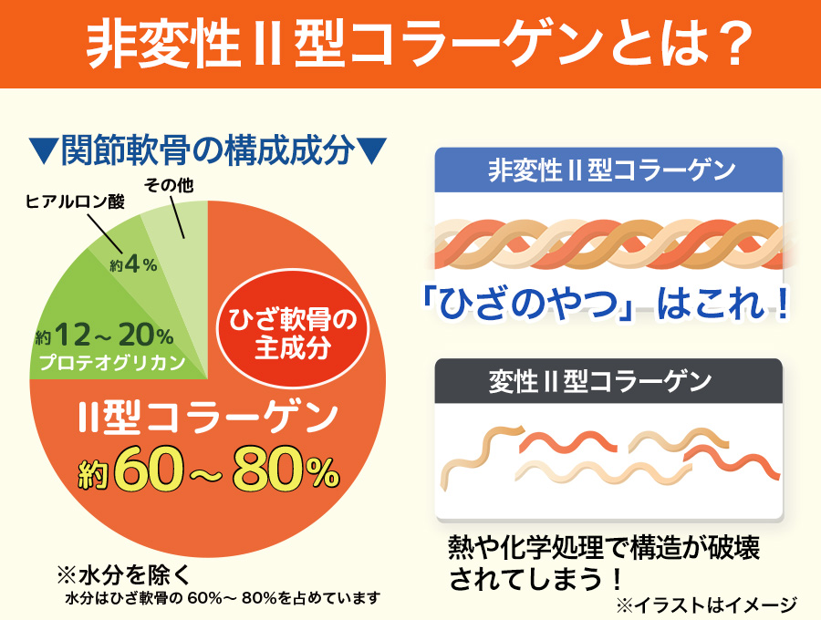 ������II�����顼����Υ��᡼���ޡʺ����ؤ�ͽ���