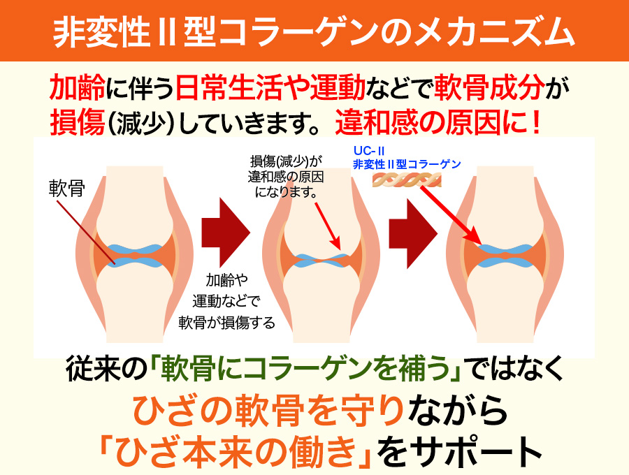 �ᥫ�˥���ޡʺ����ؤ���