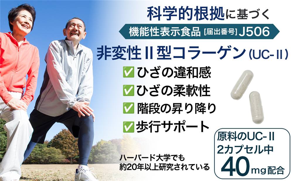 �ʳ�Ū����˴�Ť��ǡ��������뤫��¿��� �������������顼�����UC-���ˡ�