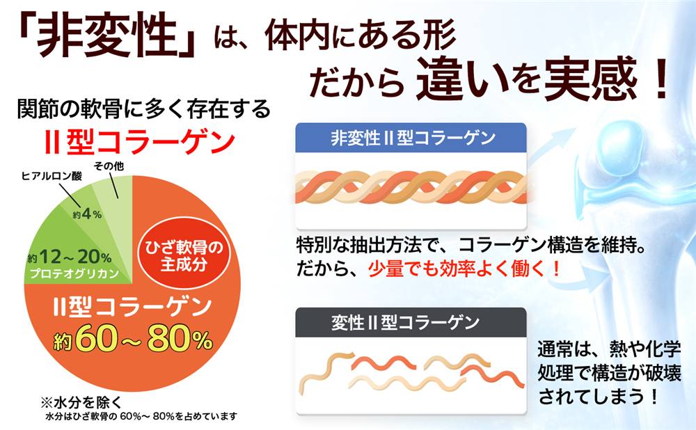 �´��Ǥ����������������顼���󡡰������ä���2���ץ���ʤΤ�³������