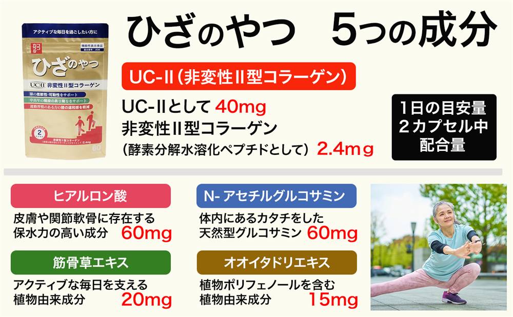 ����������Ҥ��Τ�ġ�5�Ĥ���ʬ