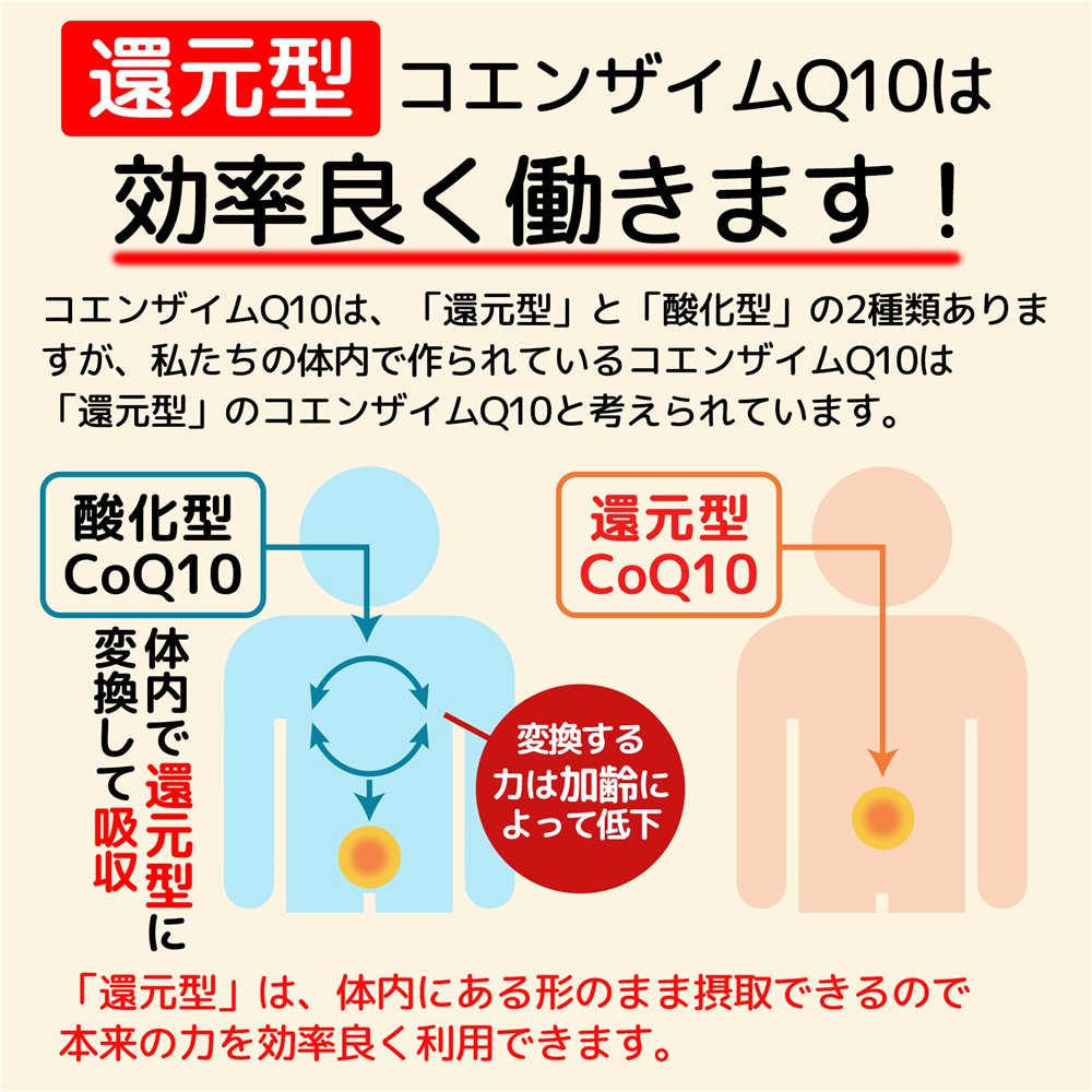 還元型コエンザイムQ10は、体内で直接使われるので効率がいいのが特徴です。