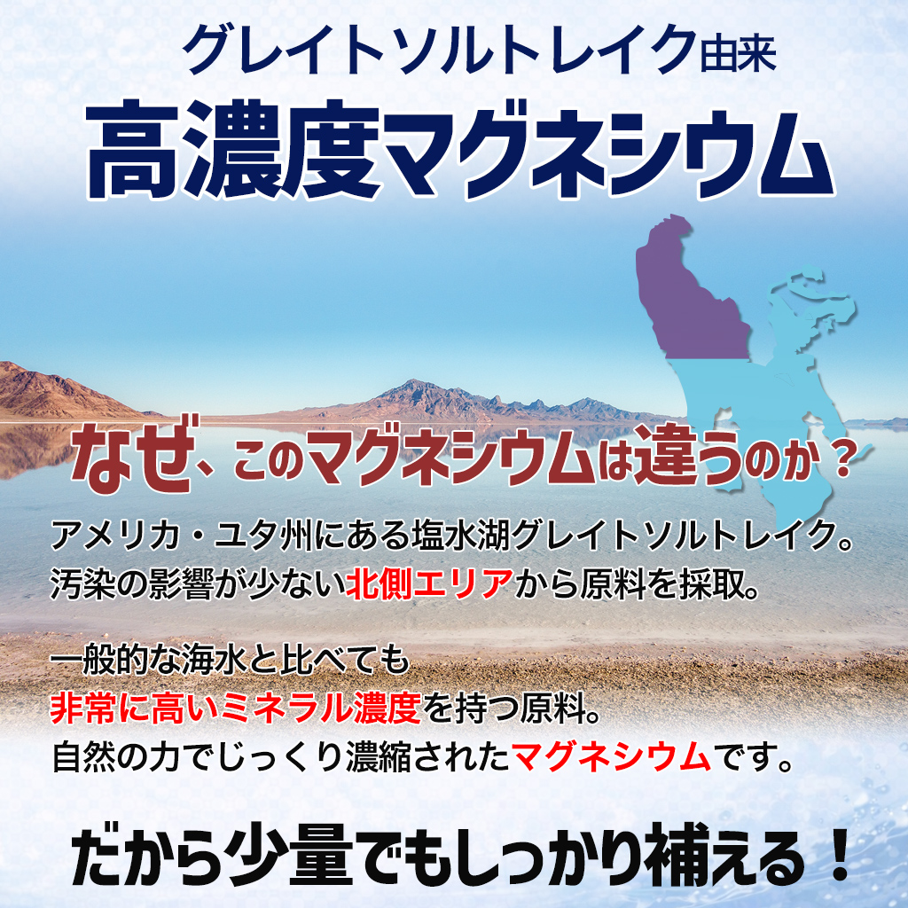 ����ꥫ���楿���ˤ������Х��쥤�ȥ���ȥ쥤���������αƶ������ʤ���¦���ꥢ���鸶����μ衣����Ū�ʳ������٤Ƥ����˹⤤�ߥͥ��ǻ�٤���ĸ������������ϤǤ��ä���ǻ�̤��줿�ޥ��ͥ�����Ǥ���