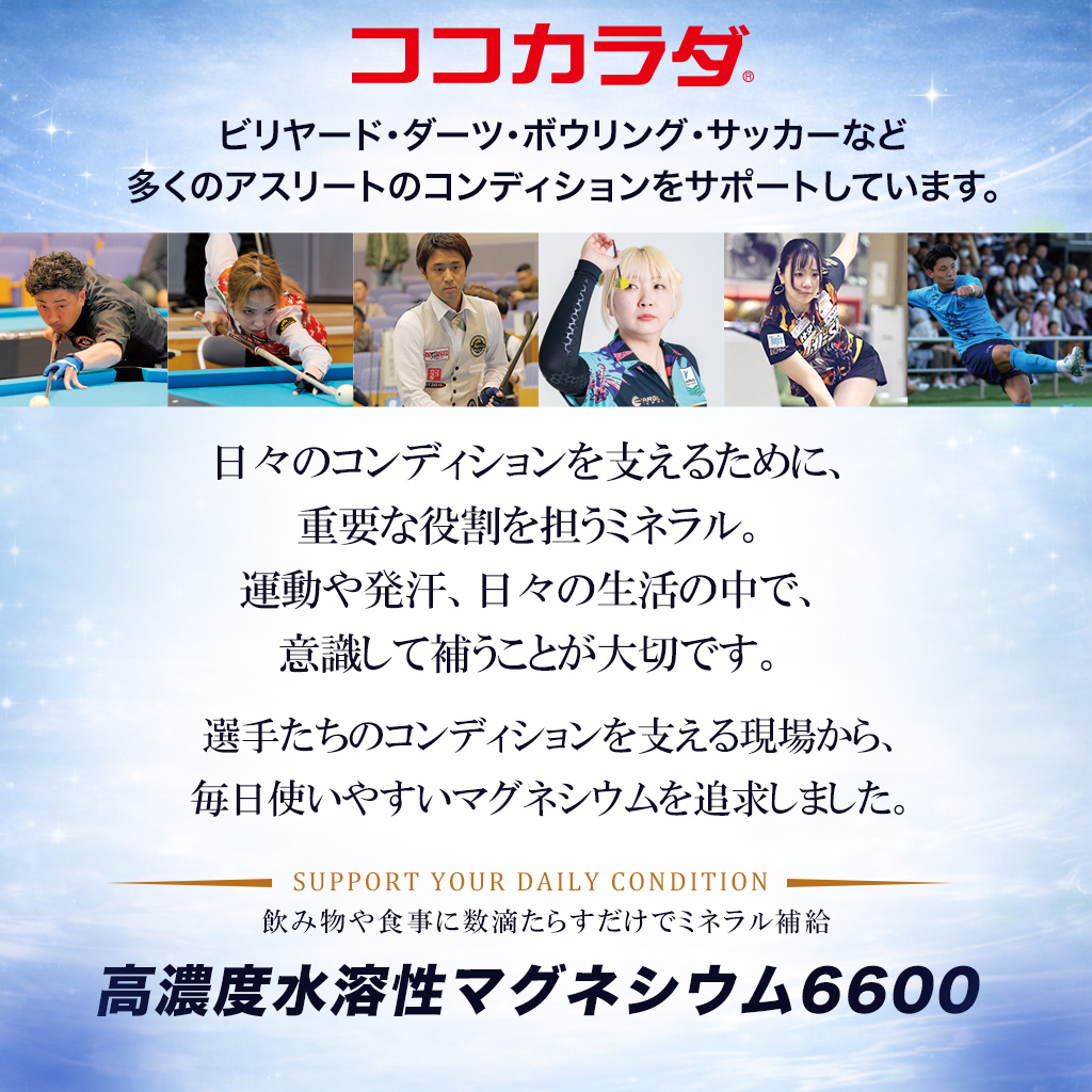 ����������ϡ��ӥ�䡼�ɡ������ġ��ܥ���󥰡����å����ʤɡ�¿���Υ����꡼�ȤΥ���ǥ������򥵥ݡ��Ȥ��Ƥ��ޤ���