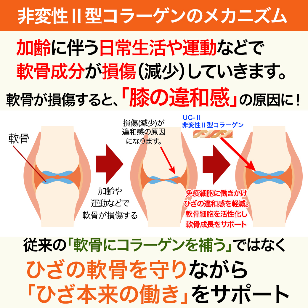 �������������顼����ϲ���ϱ�ư�ʤɤǸ������Ƥ����ޤ���