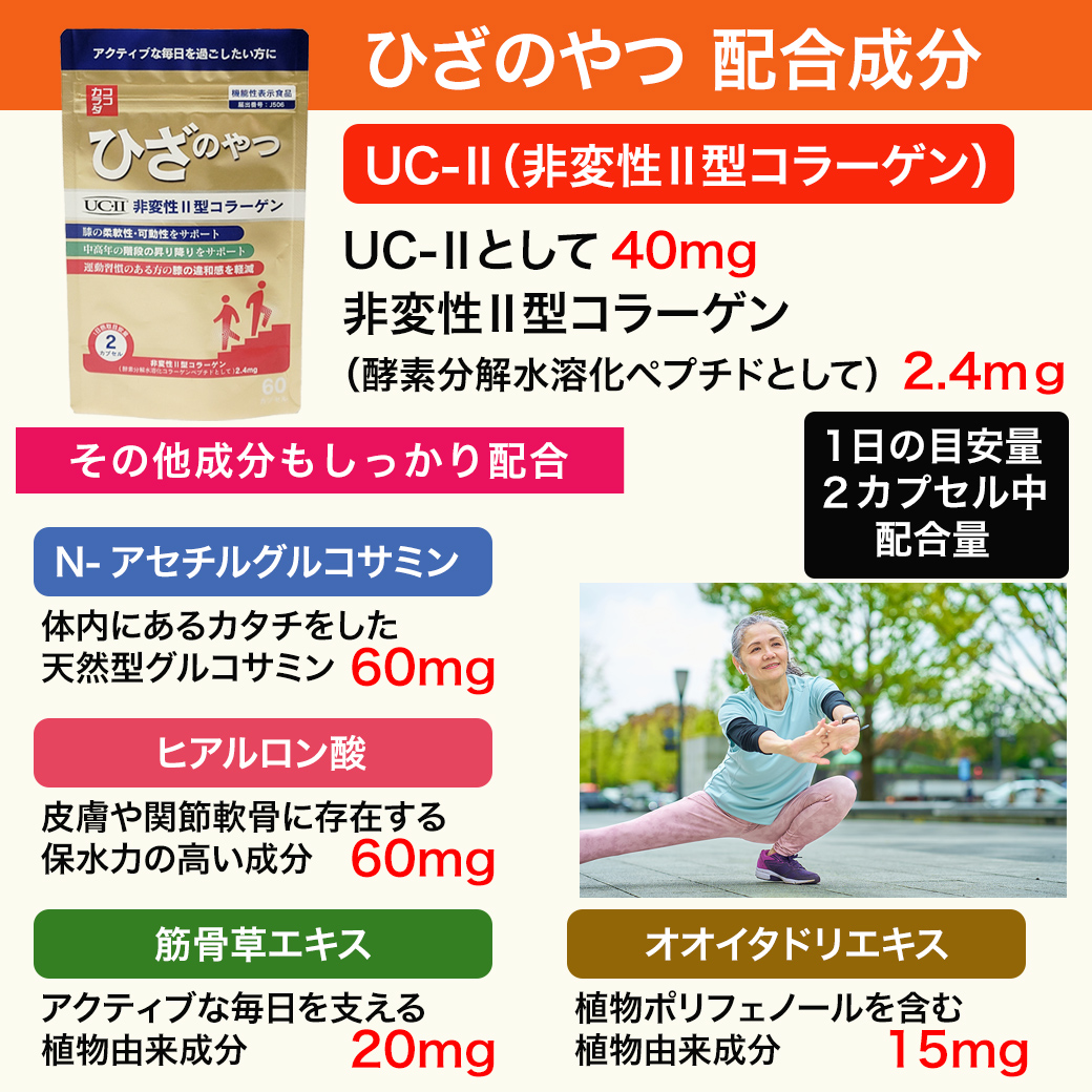 ������������Ҥ��Τ�ġ��������������顼����ϡ�N�������륰�륳���ߥ���ʬ�ҥҥ��������ʤɤΥ��ݡ�����ʬ�����äƤ��ޤ���