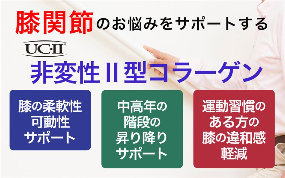 ココカラダ　ひざのやつ　非変性Ⅱ型コラーゲンは、膝関節のお悩みをサポートします。