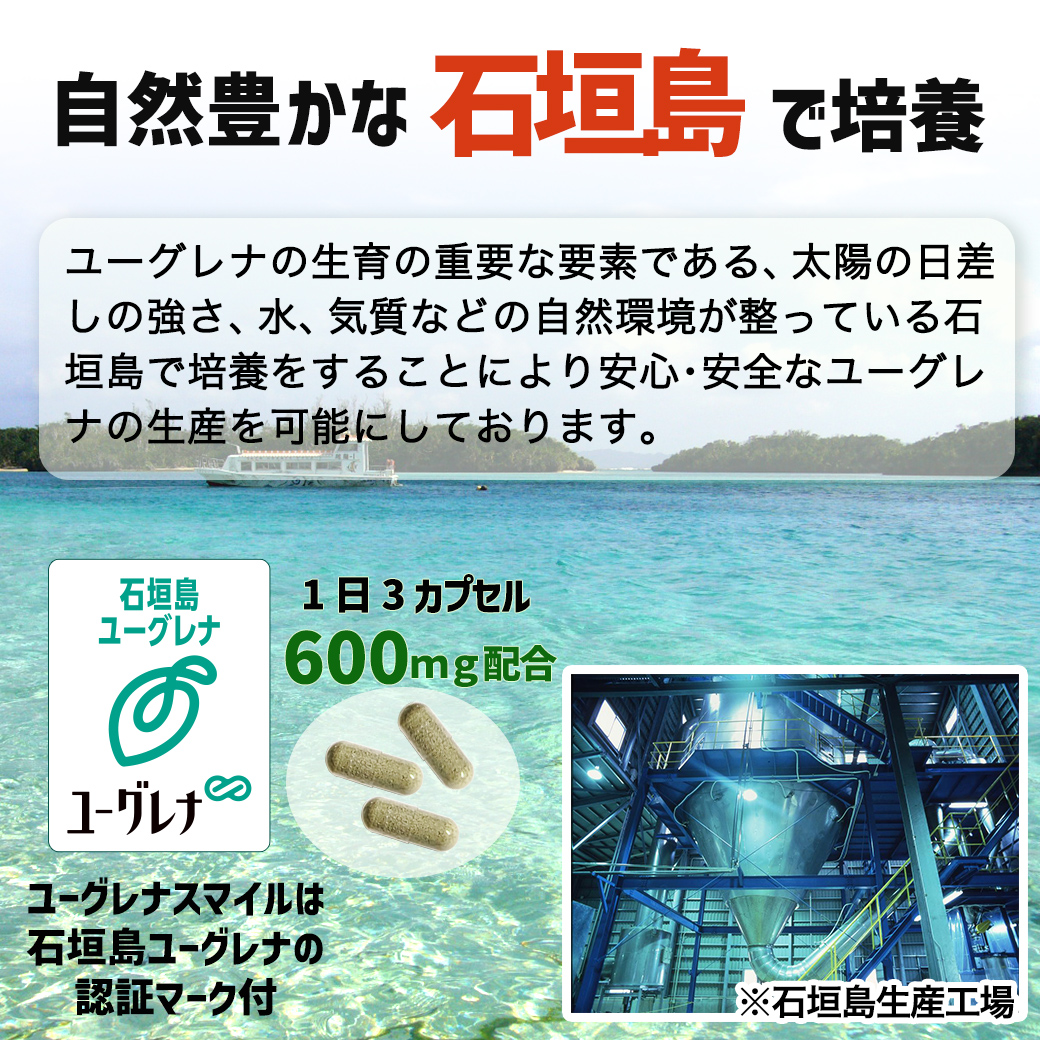 自然豊かな石垣島で、丁寧に培養した「石垣島ユーグレナ」