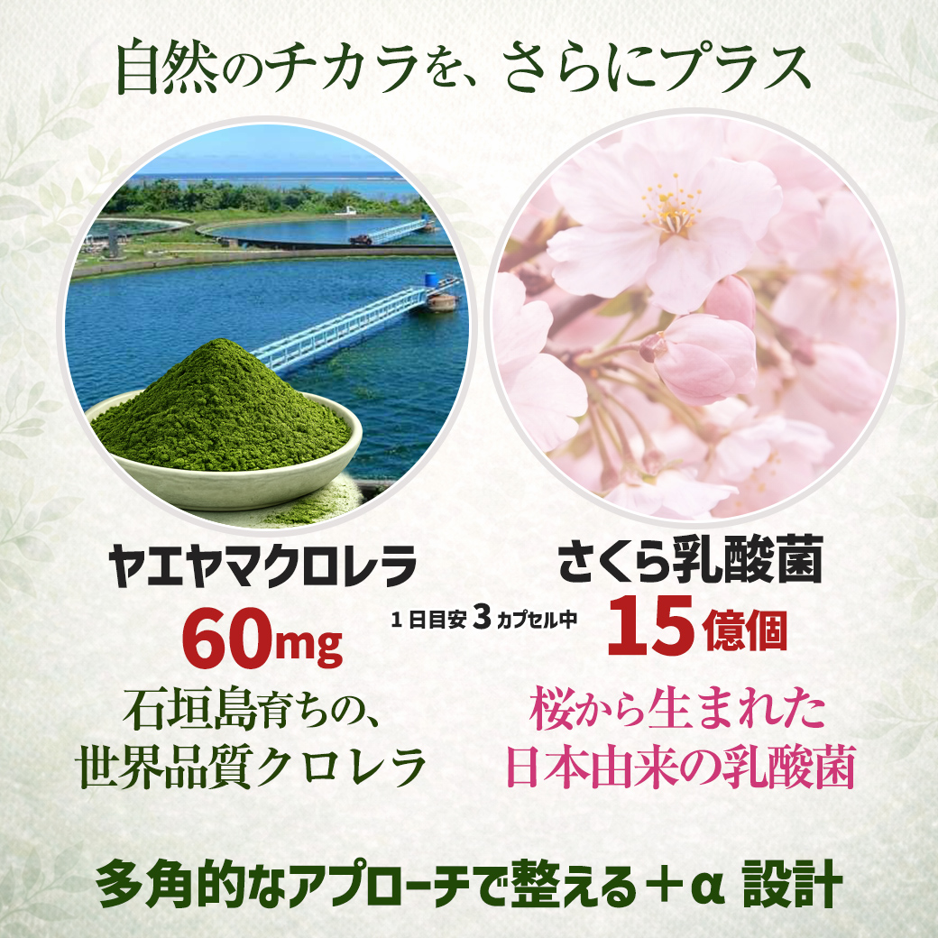 ヤエヤマクロレラとさくら乳酸菌も配合「ユーグレナスマイルα」