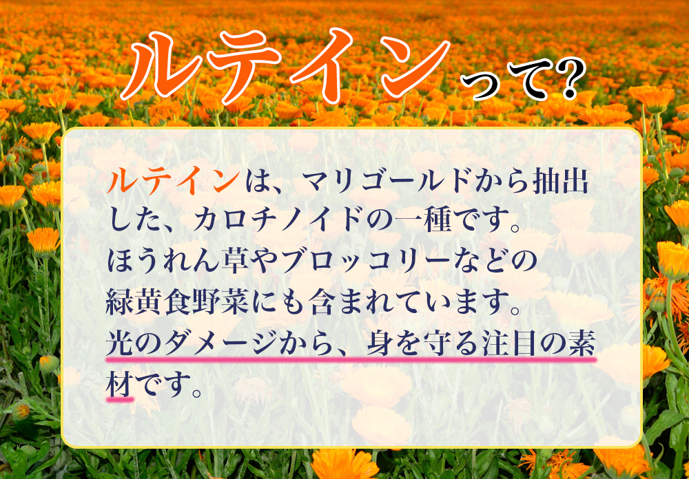 ココカラダ フォーカスルテイン30mg ルテインとは?